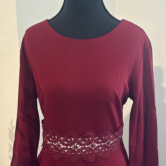 Elegant Burgundy Lace-Trim Dress - Picture 3 of 4